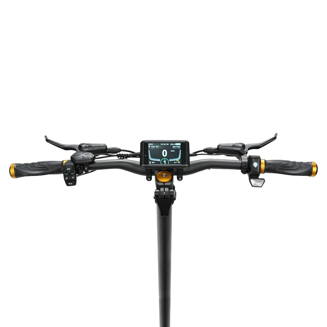 Electric Scooter Hiley Tiger King features a sleek handlebar design with a digital display and control buttons.