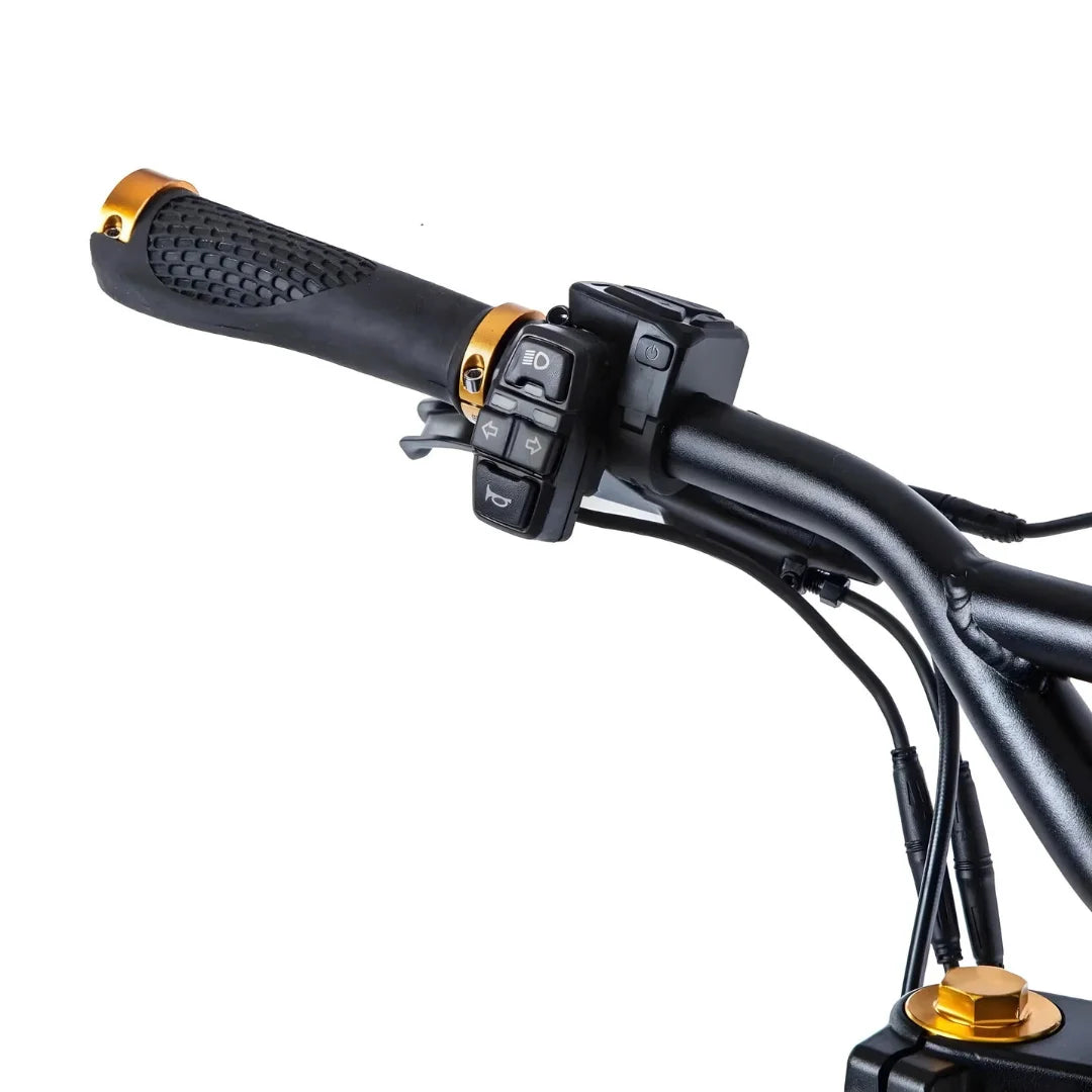 Kaabo Wolf King GT PRO