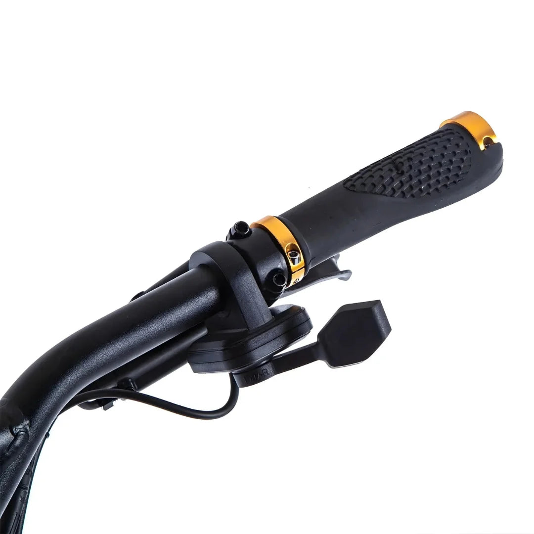 Kaabo Wolf King GT PRO