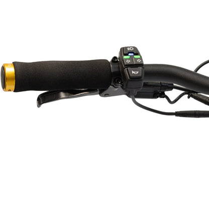 Kaabo Mantis 10 Dual Plus