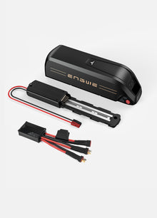 48V 13 Ah Battery with Equalizer for Engwe M20