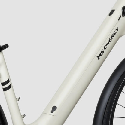 MS Energy C30