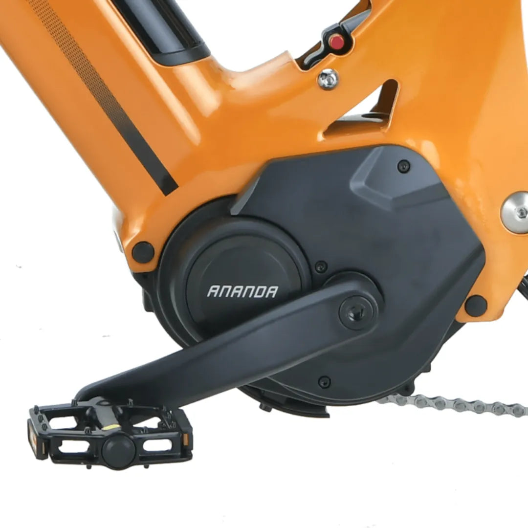 Electric bicycle MS Energy SUV C502 – pedal, crank arm, and motor close-up