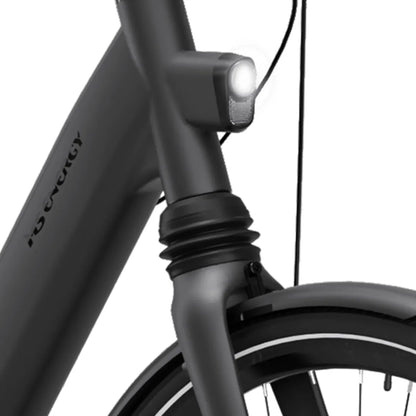 MS Energy C300