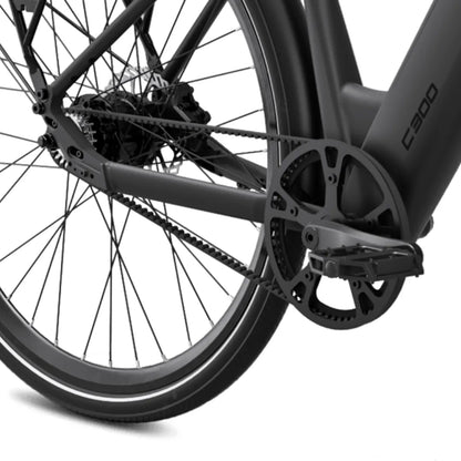MS Energy C300