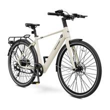 MS Energy C40