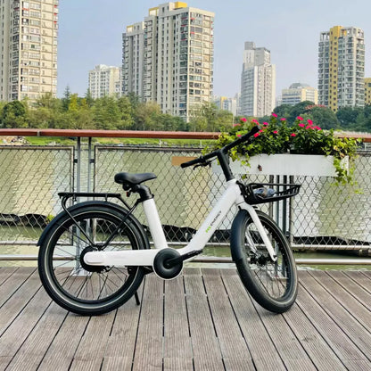 MS Energy CityZen C102