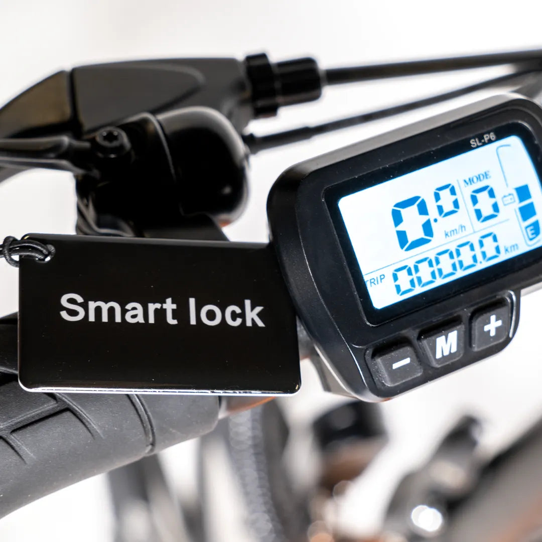 Electric bicycle MS Energy StreetFlex i20 – handlebar display and smart lock tag