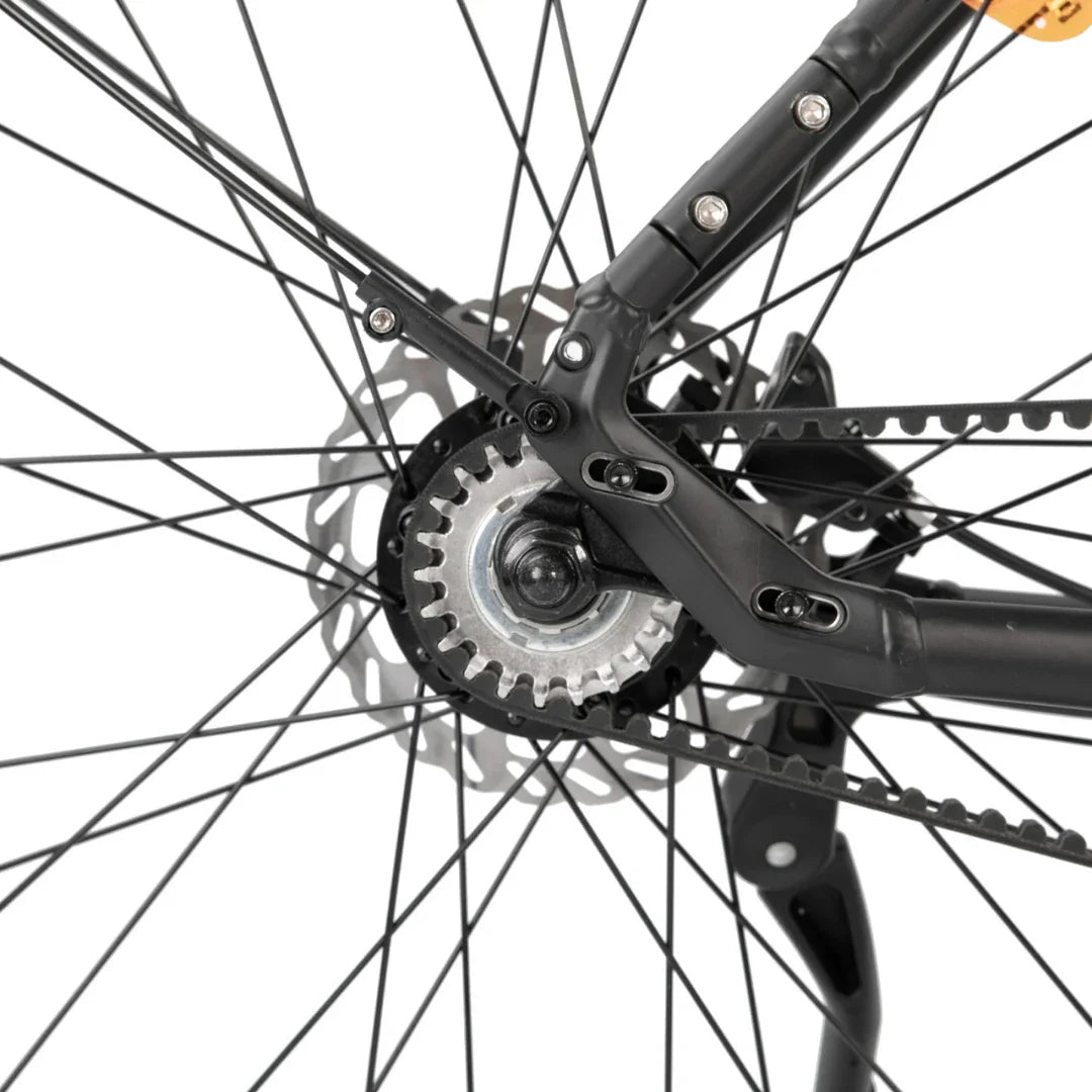 Electric Bike Ms Energy C300 features a sleek rear hub motor, durable spokes, and disc brake setup.
