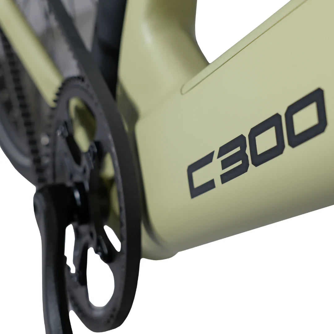 Electric Bike Ms Energy C300 features a sleek design, highlighting the C300 branding and a modern drivetrain.