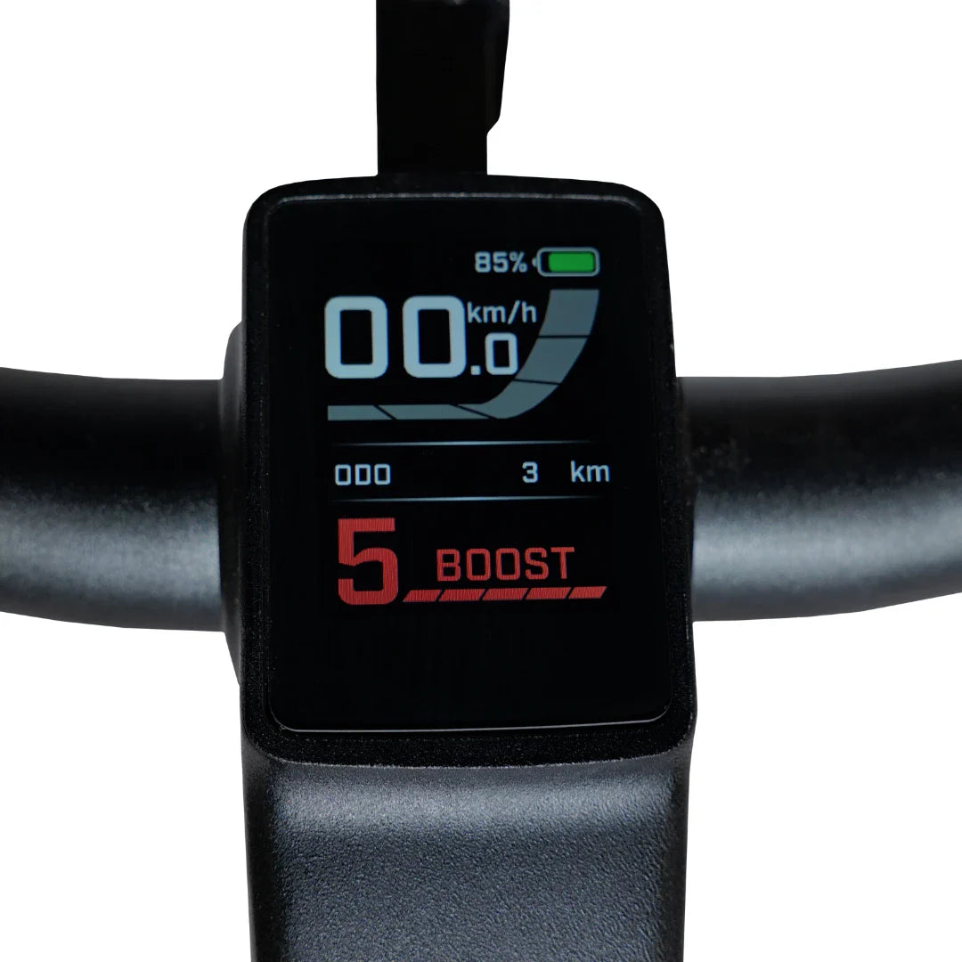 Electric Bike Ms Energy Suv C502 features a clear digital display showing speed, distance, and battery level.
