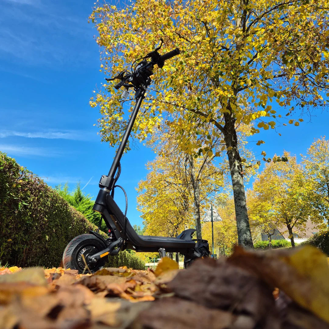 Electric Scooter Nami Klima, a sleek black design resting among autumn leaves, against a vibrant blue sky.