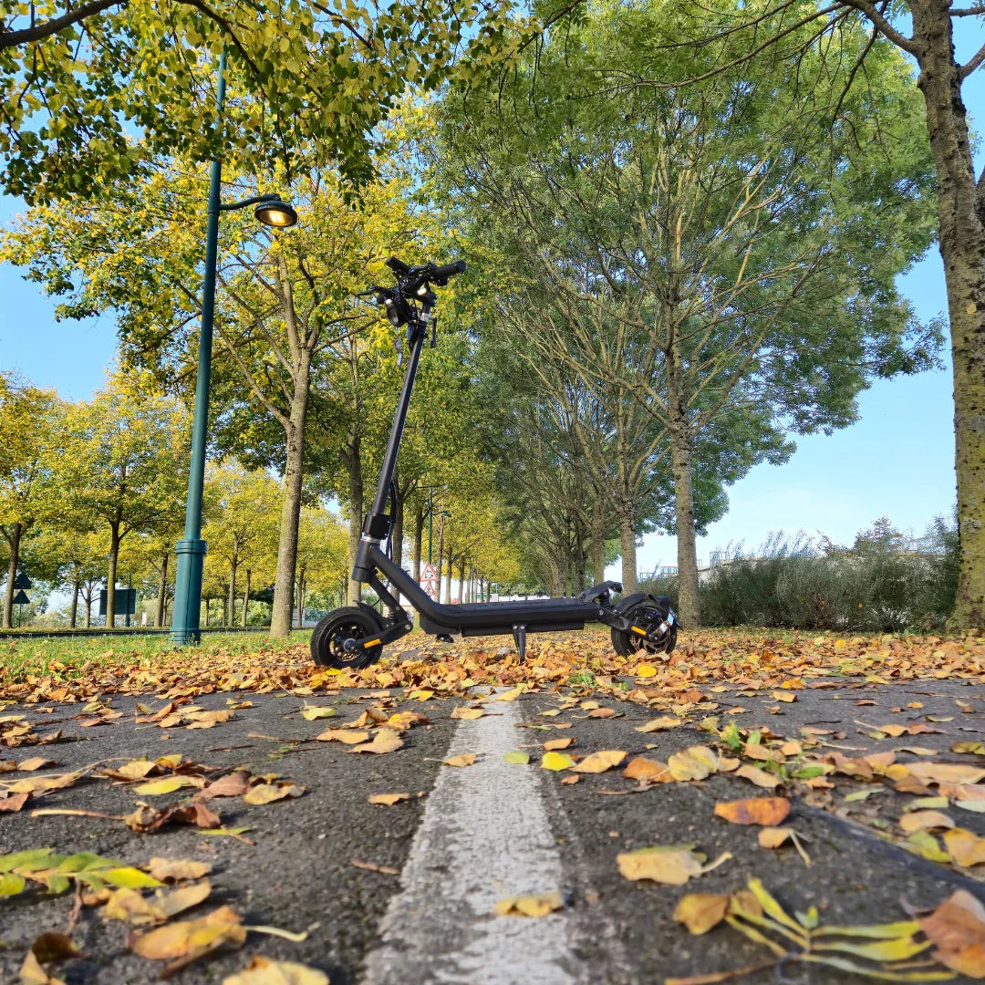Electric Scooter Nami Stellar, featured on a scenic path surrounded by colorful autumn leaves and trees.