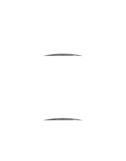PMT e-Fire 10x3.5 Klima tire