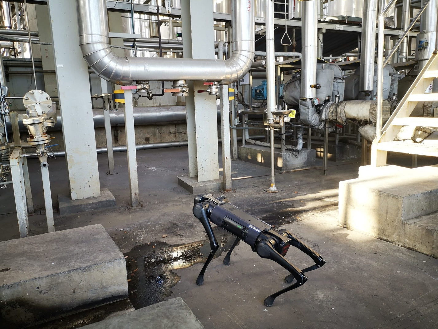 Unitree AlienGo – robot standing in industrial setting