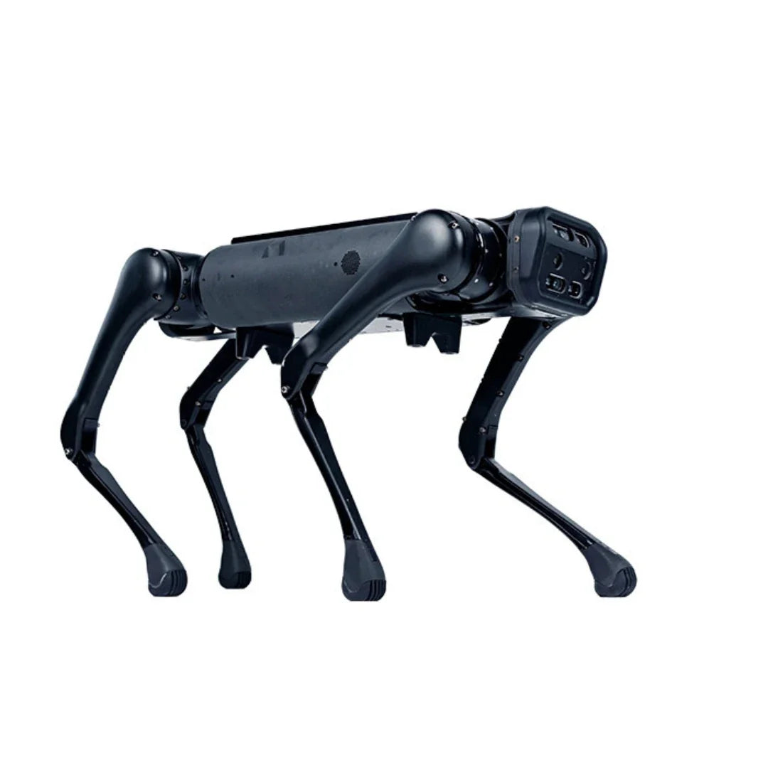 Unitree AlienGo – rear three-quarter view