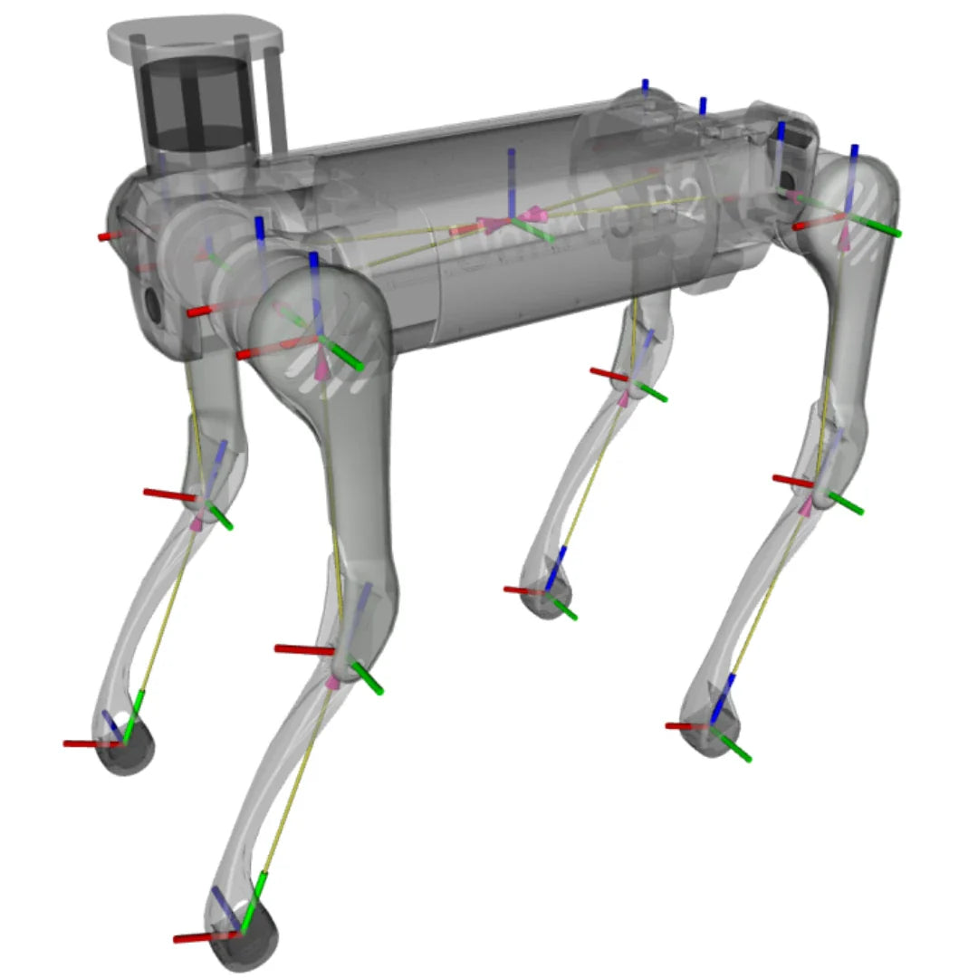 Unitree B2 – transparent view with axis indicators