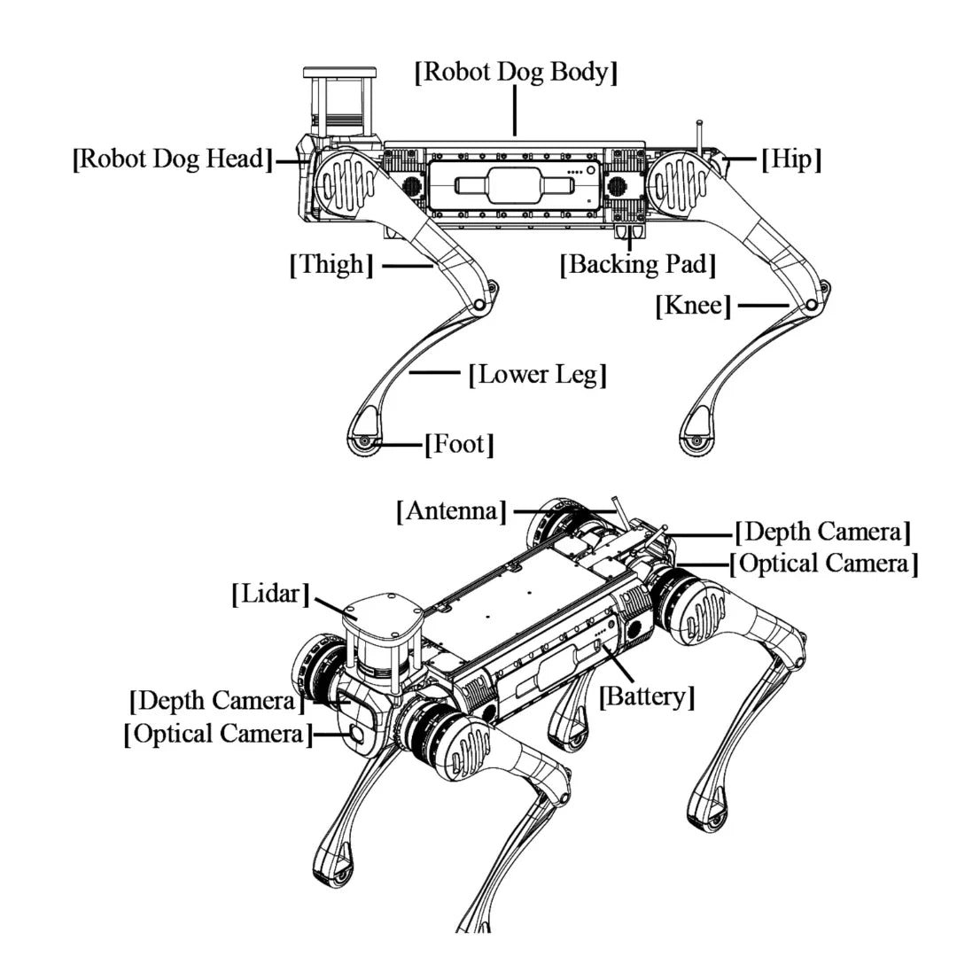 Unitree B2 – annotated diagram of components and sensors