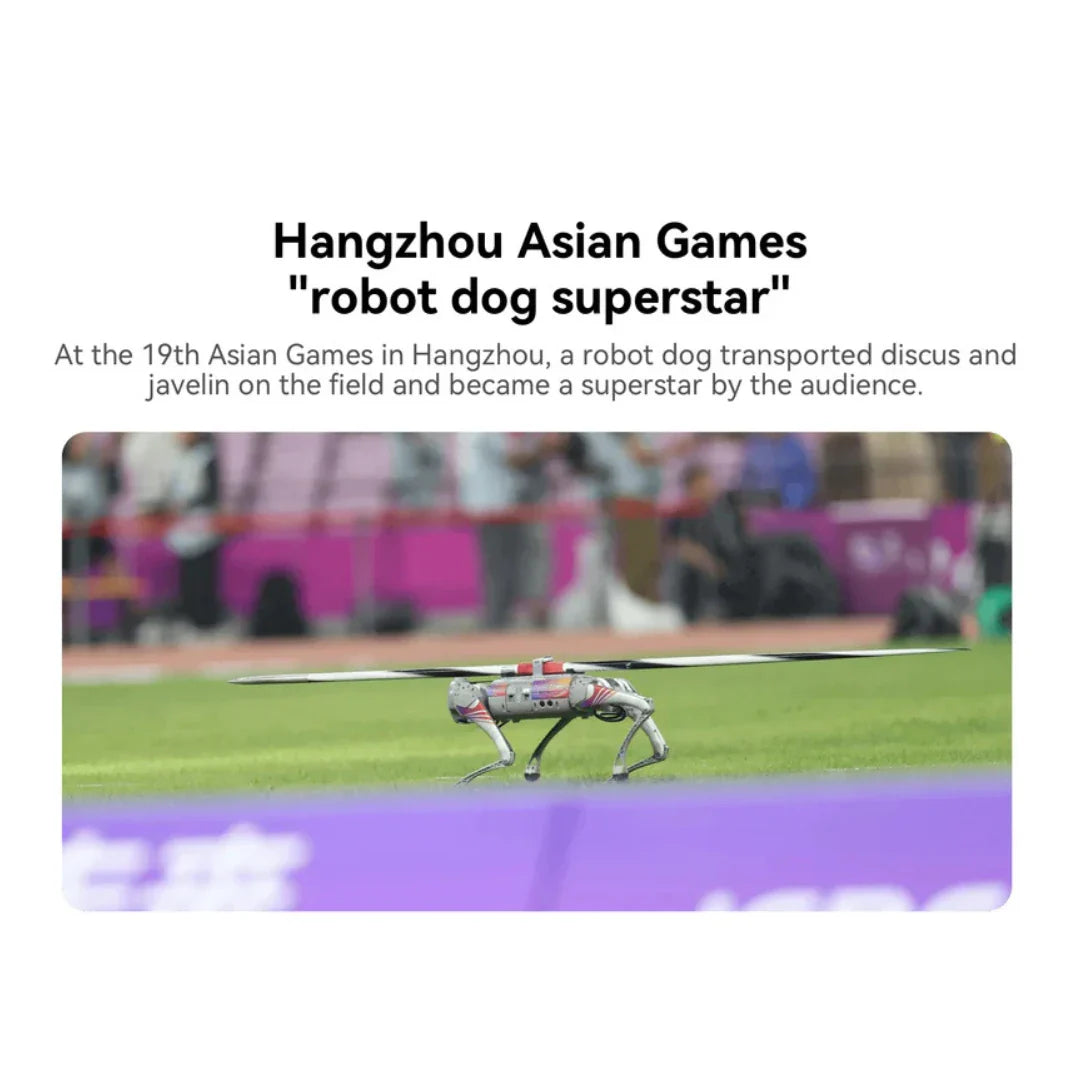 Unitree GO2 Air/Pro – robot on sports field with text