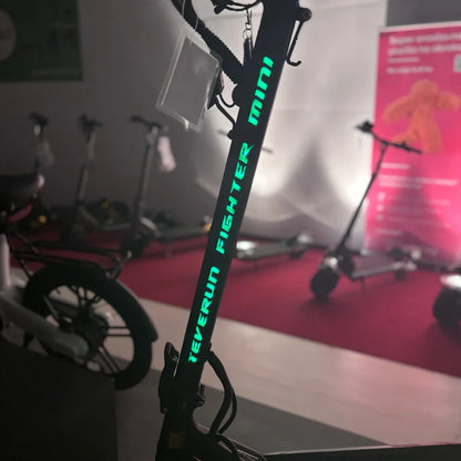 Teverun Fighter Mini PRO 2025