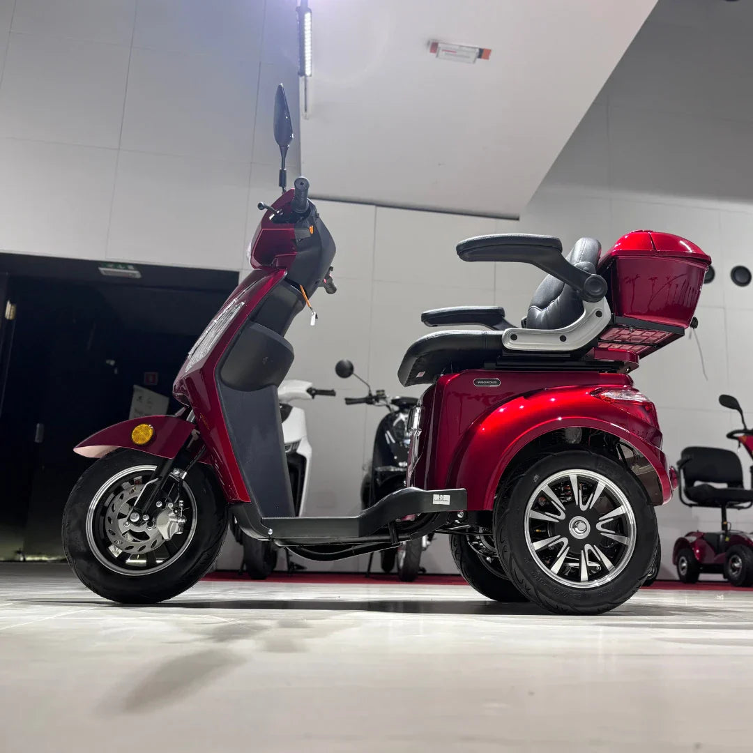 Vigorous VISTA 1 – side view, red colour variant