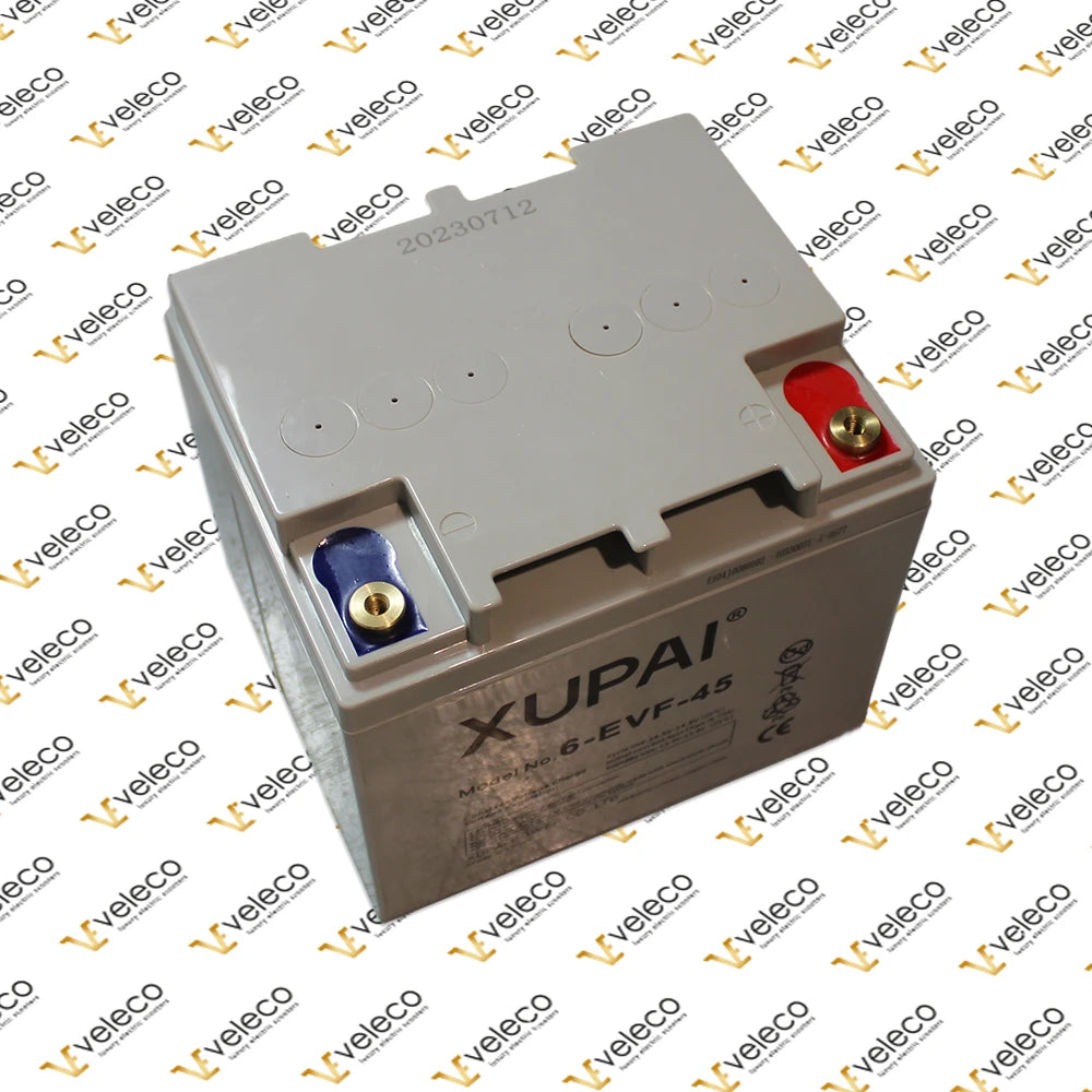 Battery AGM 12V 45ah