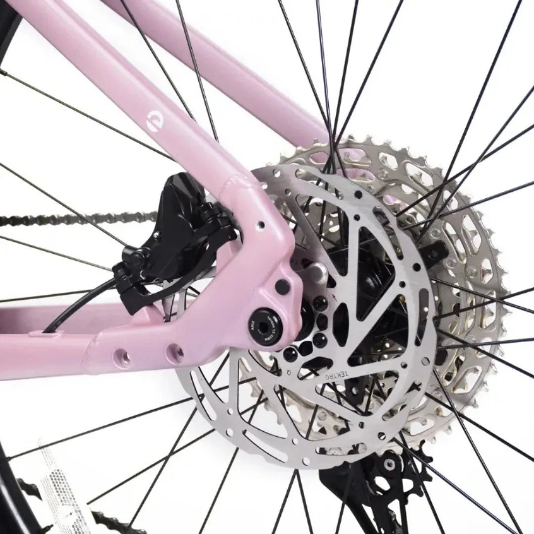 ECONO Gams MTB 29 EEC7 2026