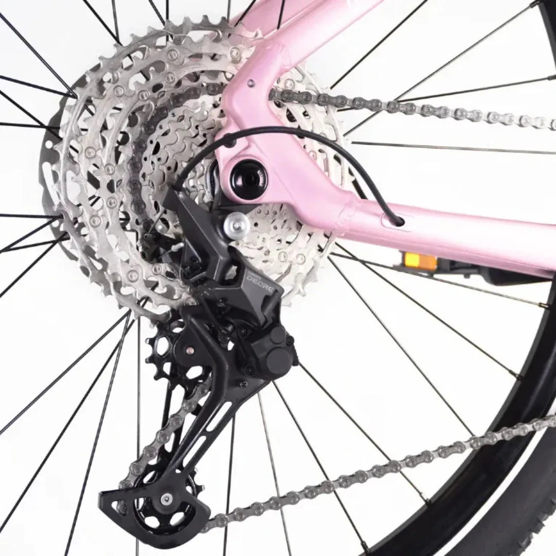 ECONO Gams MTB 29 EEC7 2026