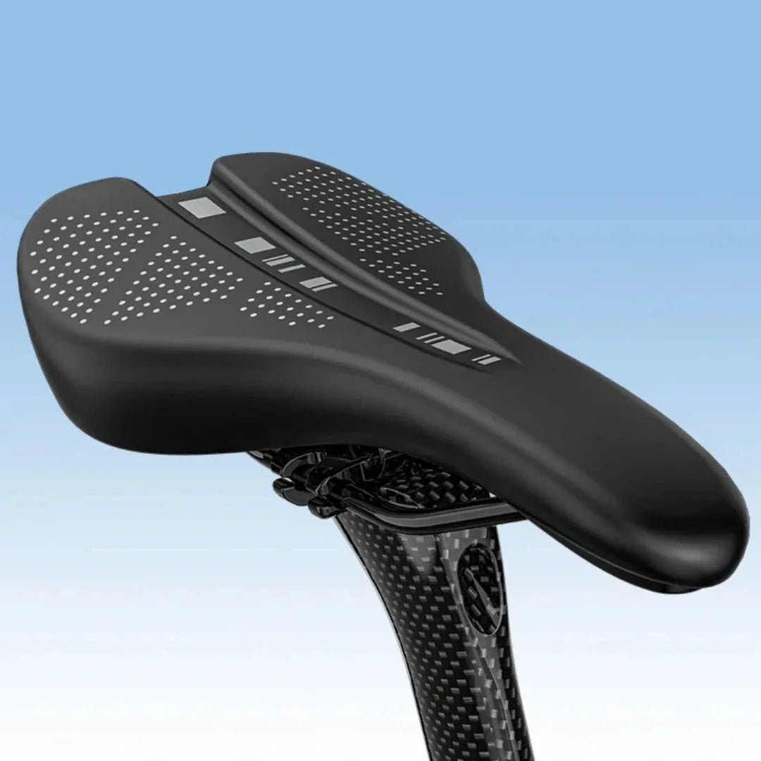Fiido Air