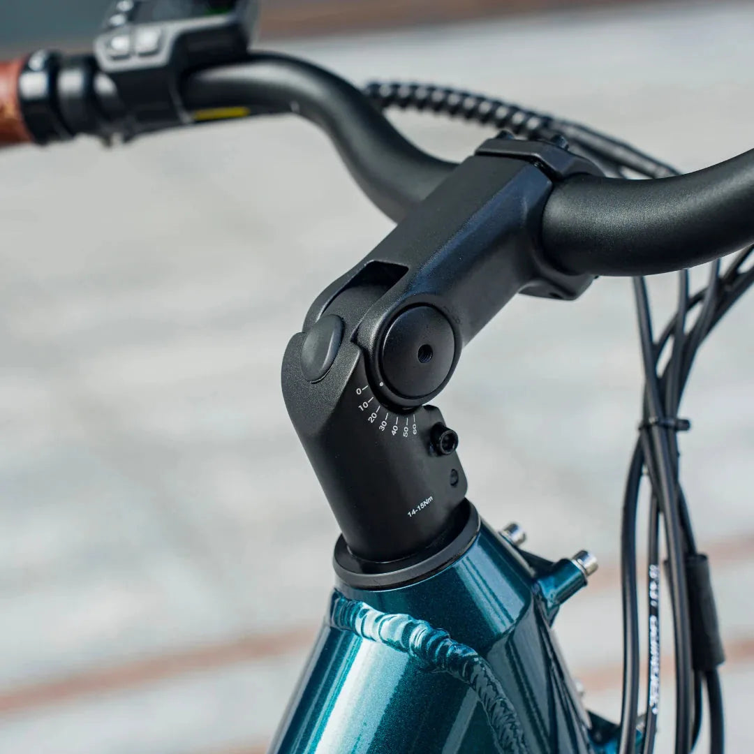 Fiido C11 PRO