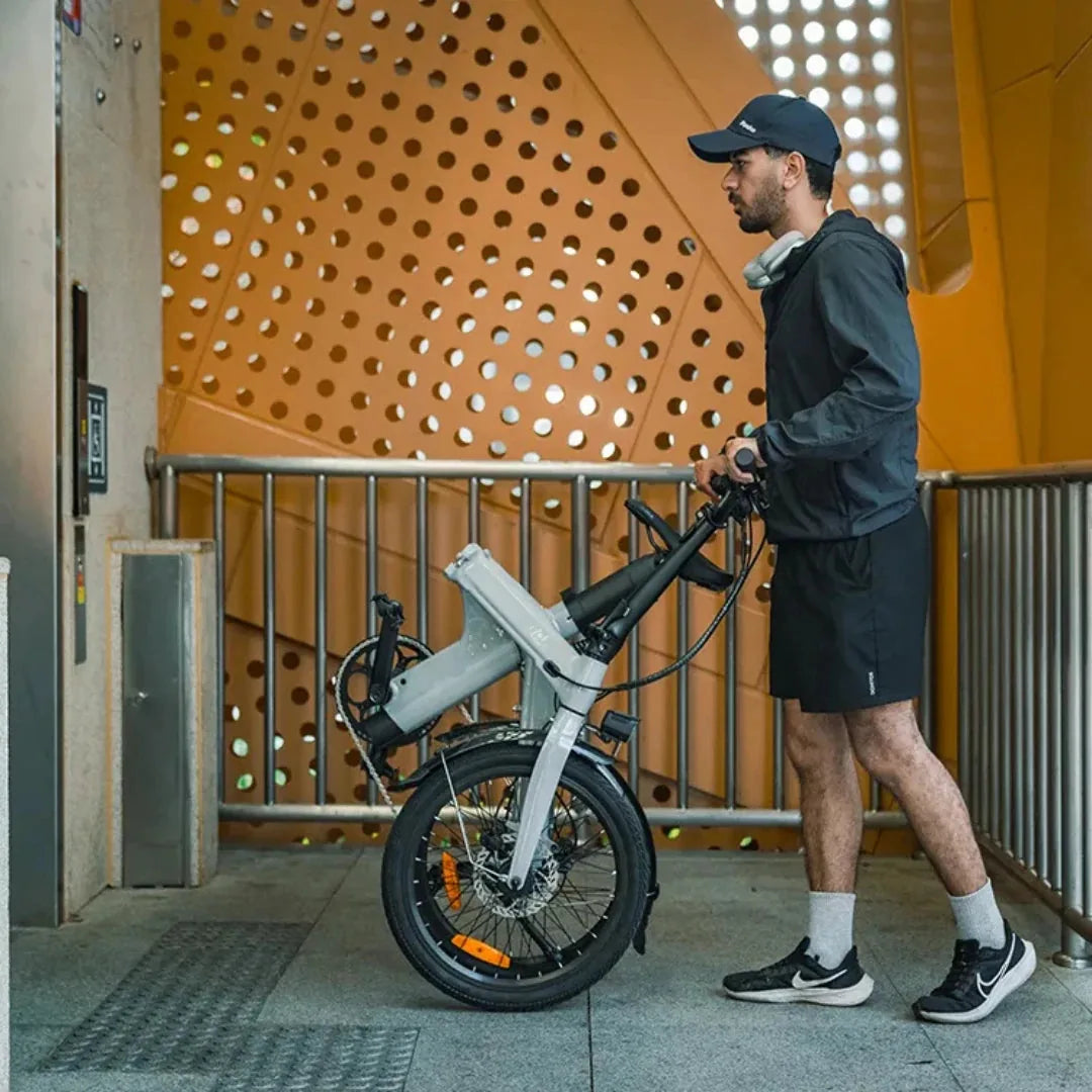 Fiido D11