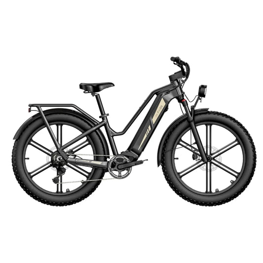 Fiido Titan – side view, black colour variant