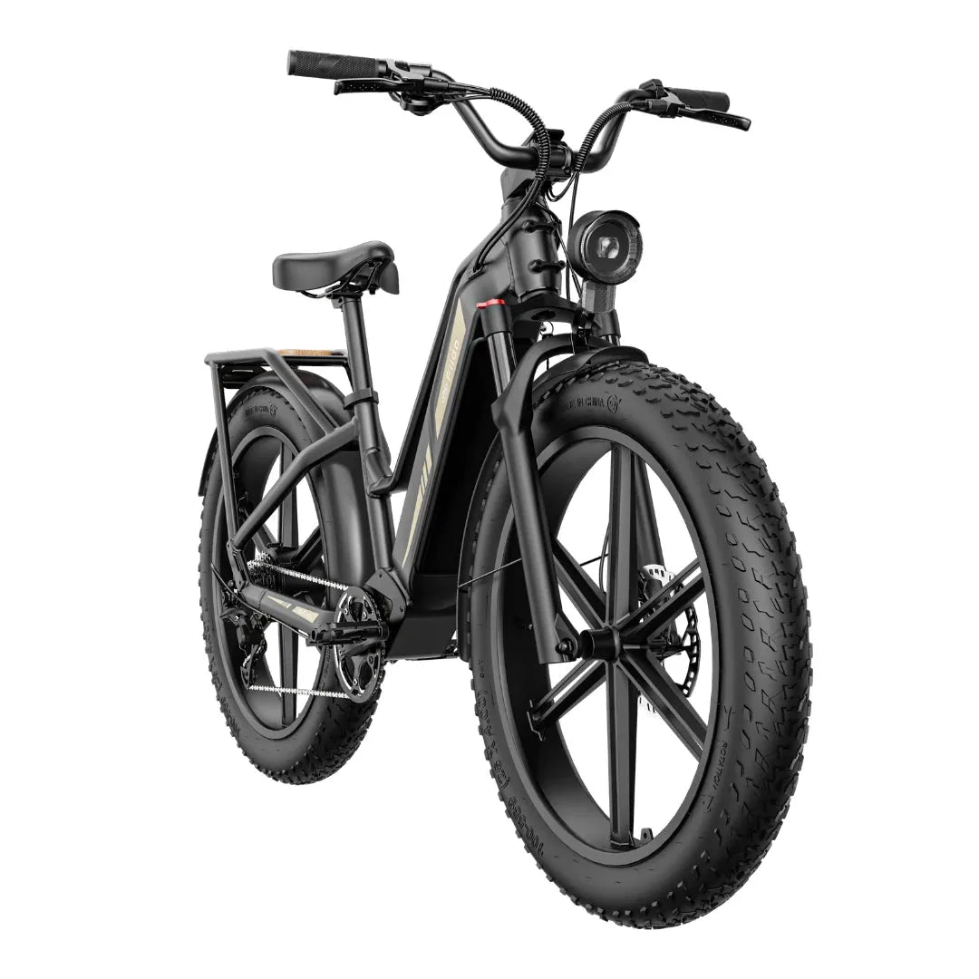 Fiido Titan