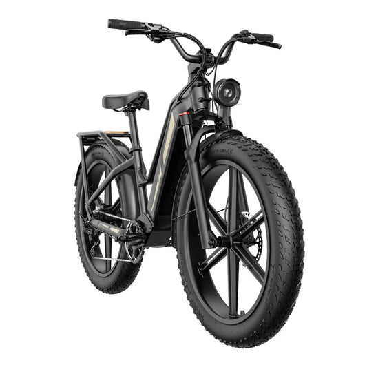 Fiido Titan – front three-quarter view, black colour variant