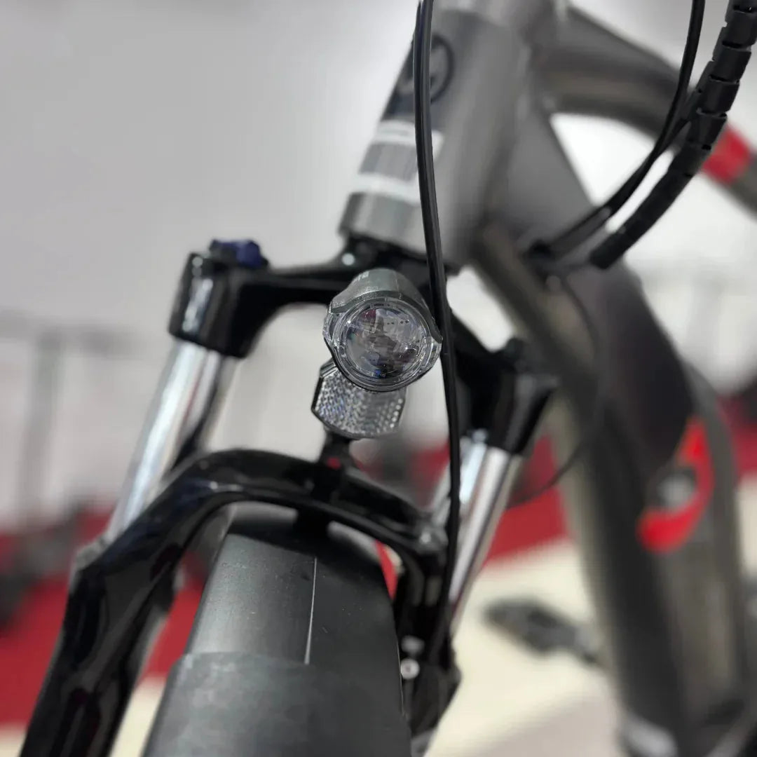 MALAGUTI Carezza TR 4.0-BOSCH Motor