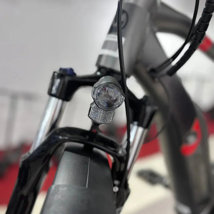 MALAGUTI Carezza TR 4.0-BOSCH Motor