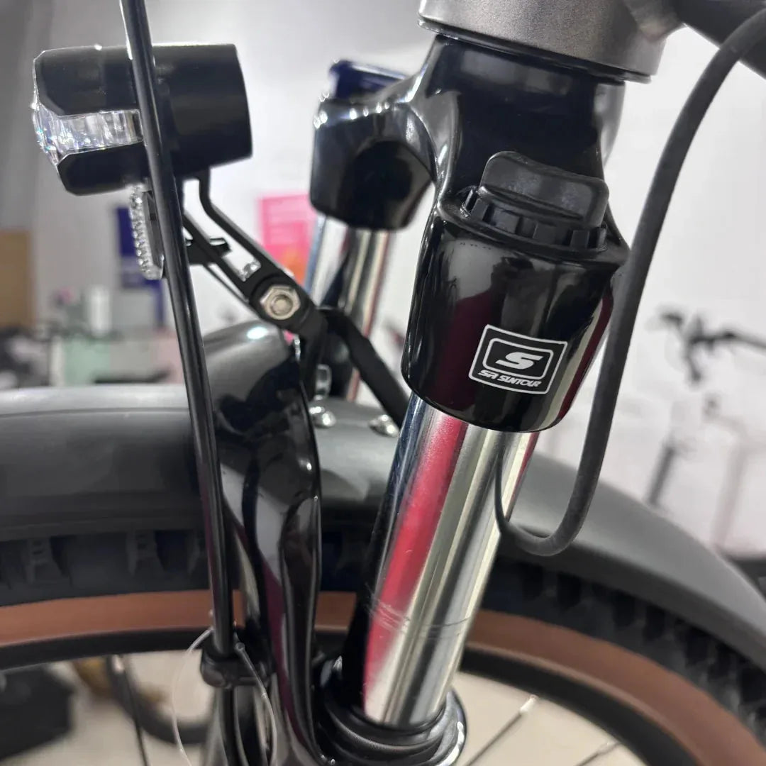 MALAGUTI Carezza TR 4.0-BOSCH Motor