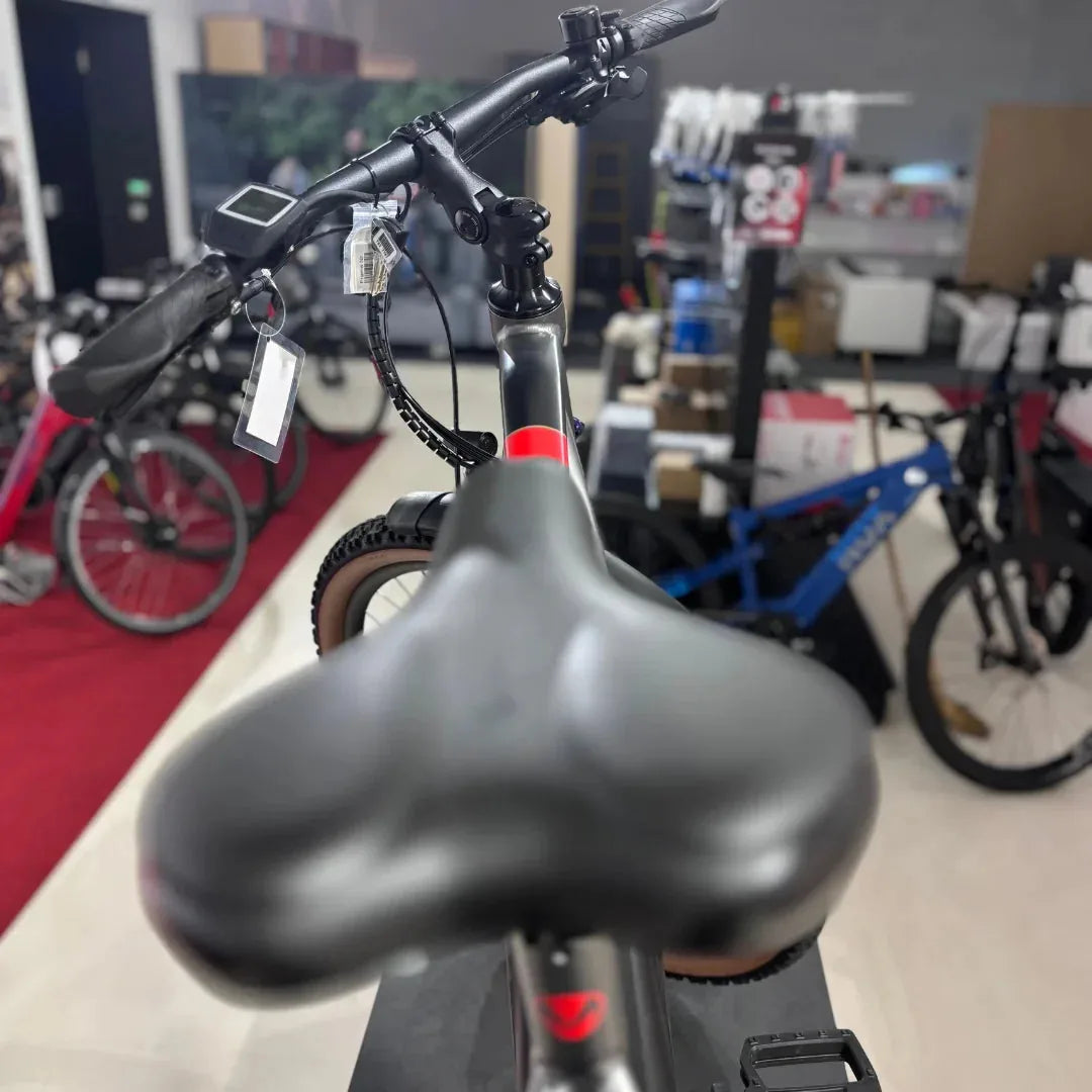 MALAGUTI Carezza TR 4.0-BOSCH Motor