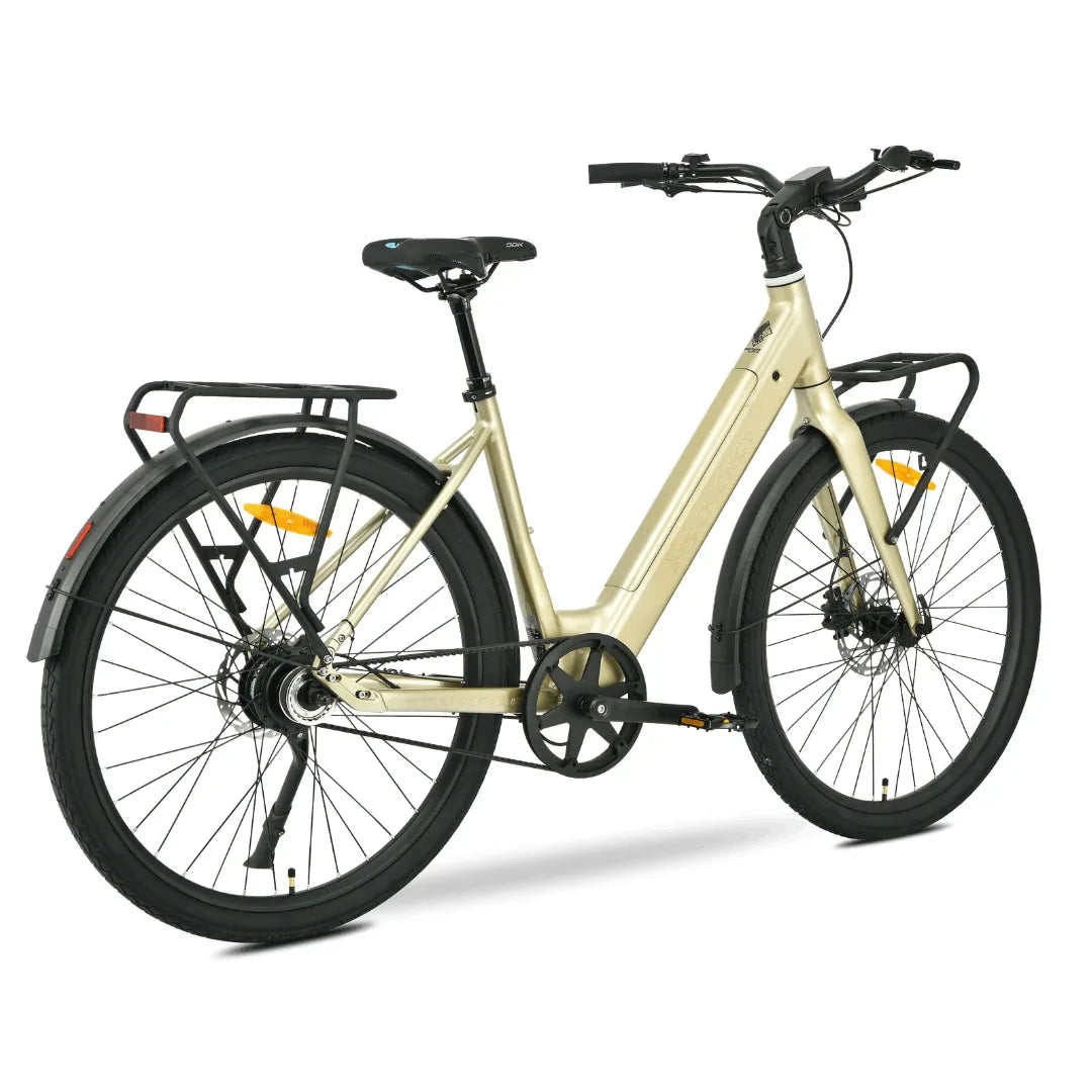 MS Energy Zorya PLUS