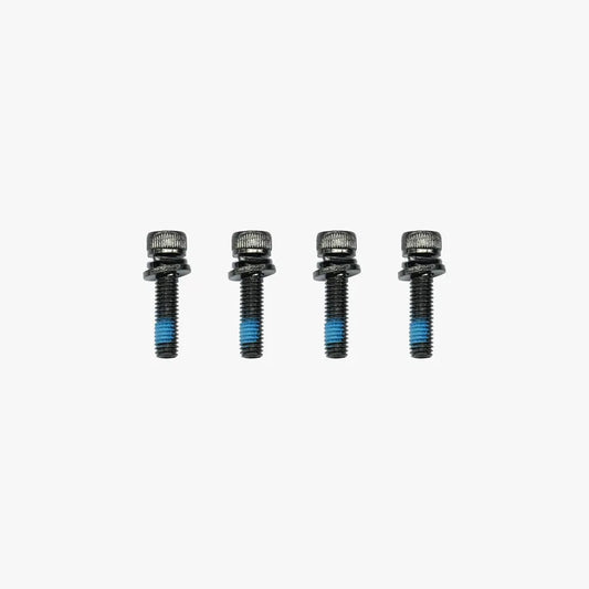 Screws for KingSong F18 – four silver screws with blue threadlock