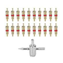 Set of 20 Valve Cores with Tool for Electric Scooter, Bike or Motorcycle – twenty valve cores and tool