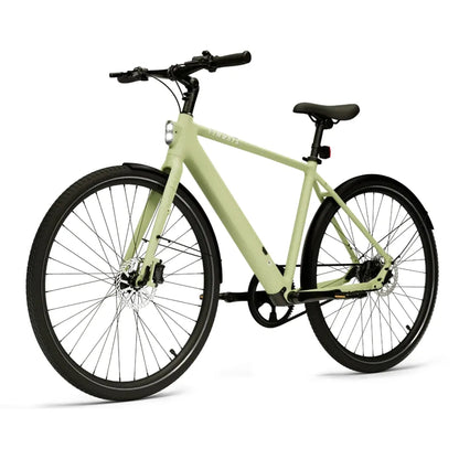 TENWAYS CGO600 (Pro & Plus)