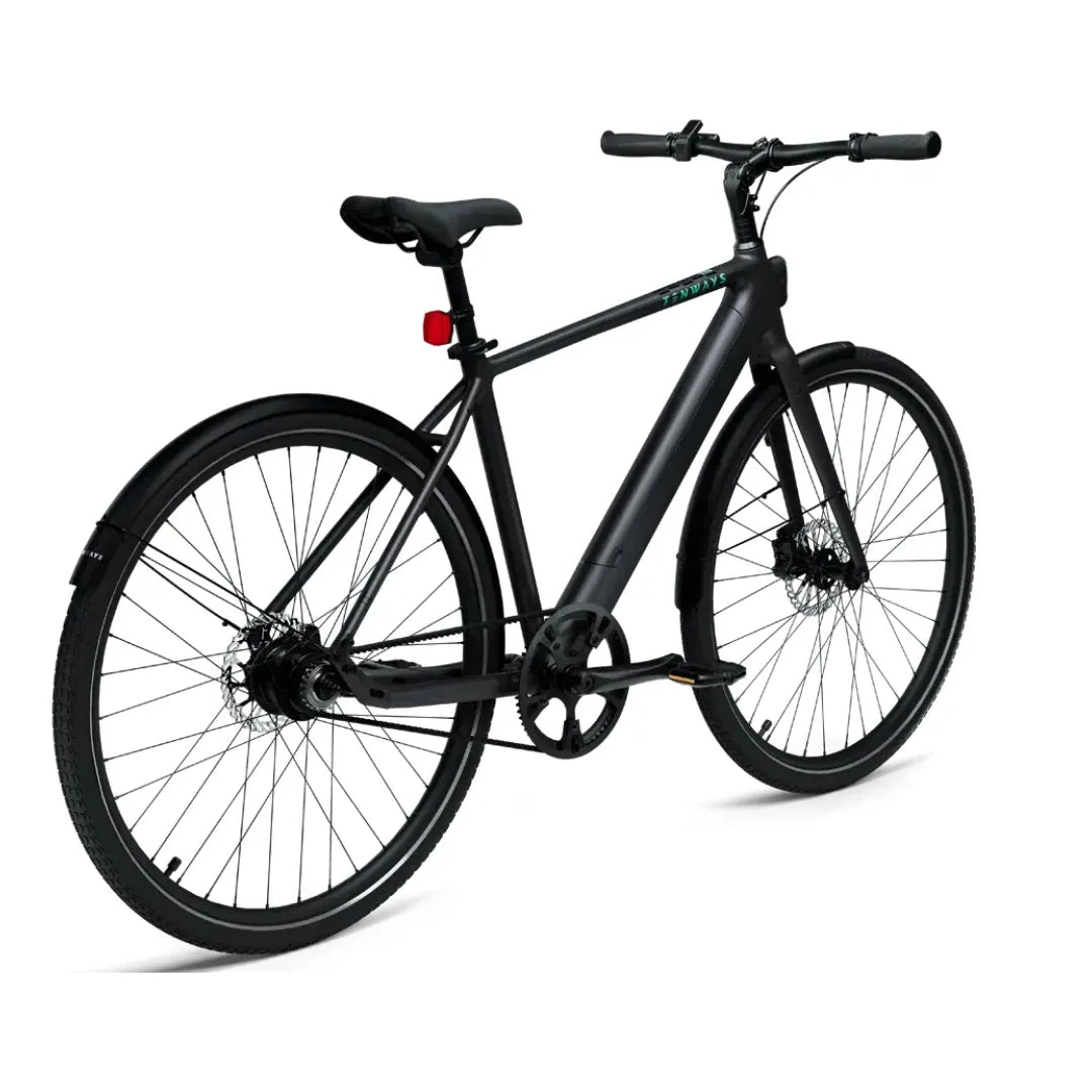 TENWAYS CGO600 (Pro & Plus)