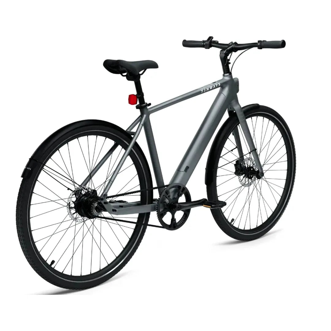 TENWAYS CGO600 (Pro & Plus)