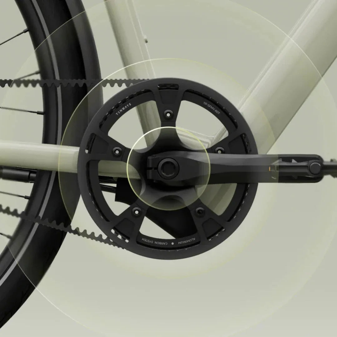 TENWAYS CGO600 (Pro & Plus)