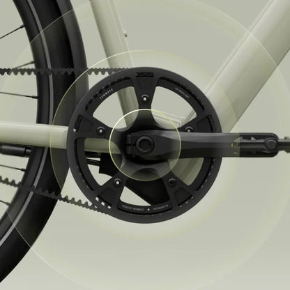 TENWAYS CGO600 (Pro & Plus)