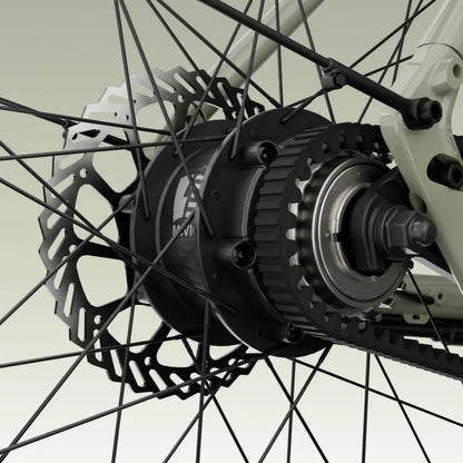 TENWAYS CGO600 (Pro & Plus)