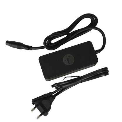 Original Segway 53.6 V 3.9 A fast charger for Ninebot F3