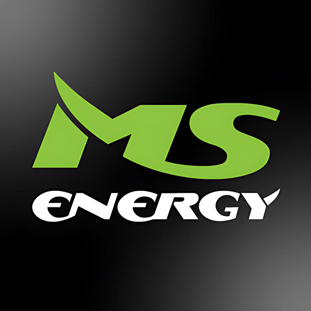 Electric bikes MS Energy