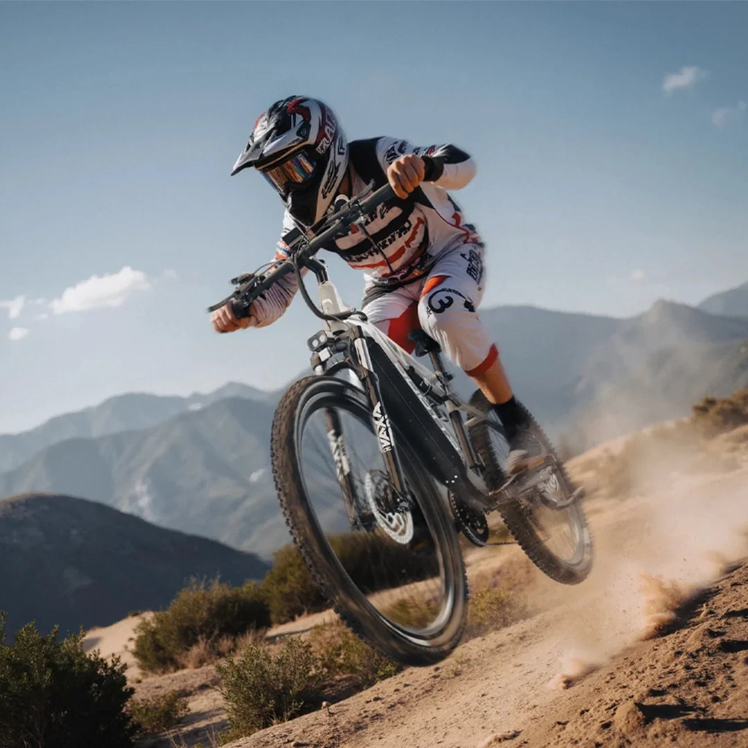 Mountain Electric Bicycles
